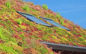 North Berwick living roof systems