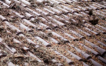 North Berwick roof cleaning companies