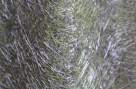 North Berwick fibreglass roof work